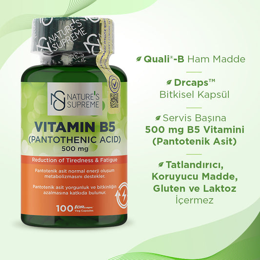 Nature's Supreme Vitamin B5 500 mg 100 Capsules