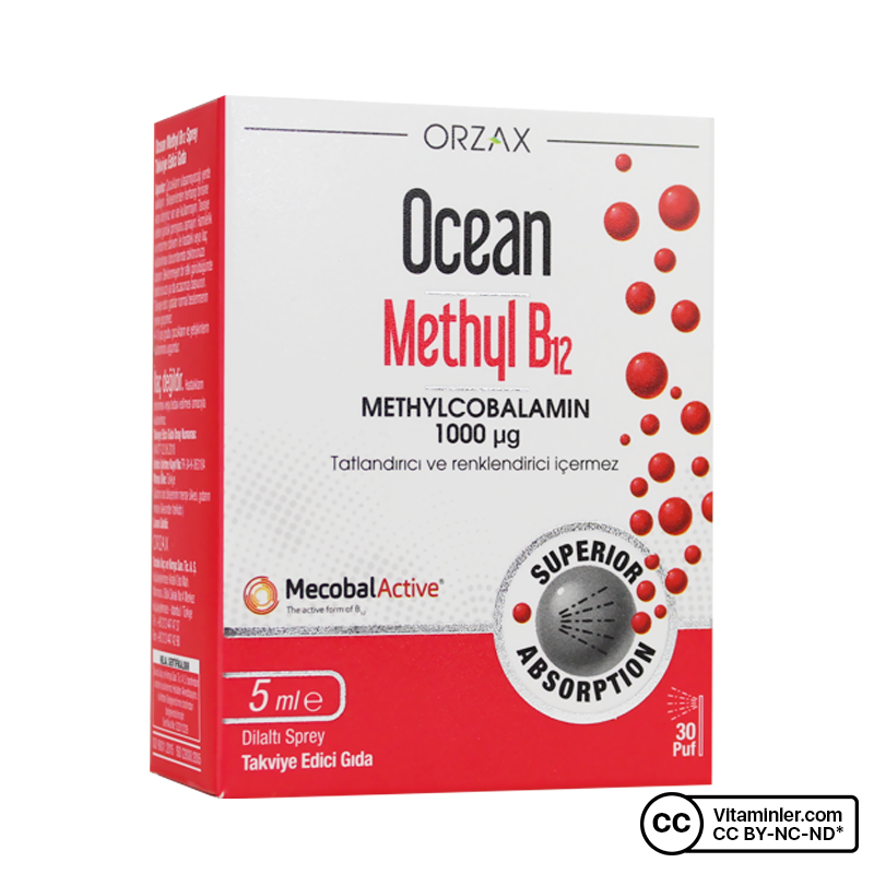 Ocean Methyl B12 1000 mcg 5 mL Spray