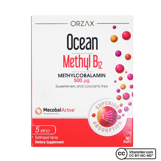 Ocean Methyl B12 500 mcg 5 mL Spray