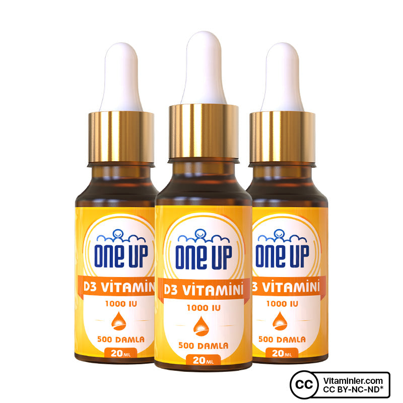 One Up Vitamin D3 1000 IU 20 mL Drops (3 Pack)