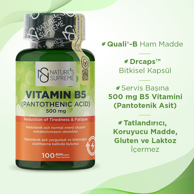 Nature's Supreme Vitamin B5 500 mg 100 Capsules