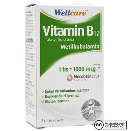 Wellcare Vitamin B12 Spray 5 mL